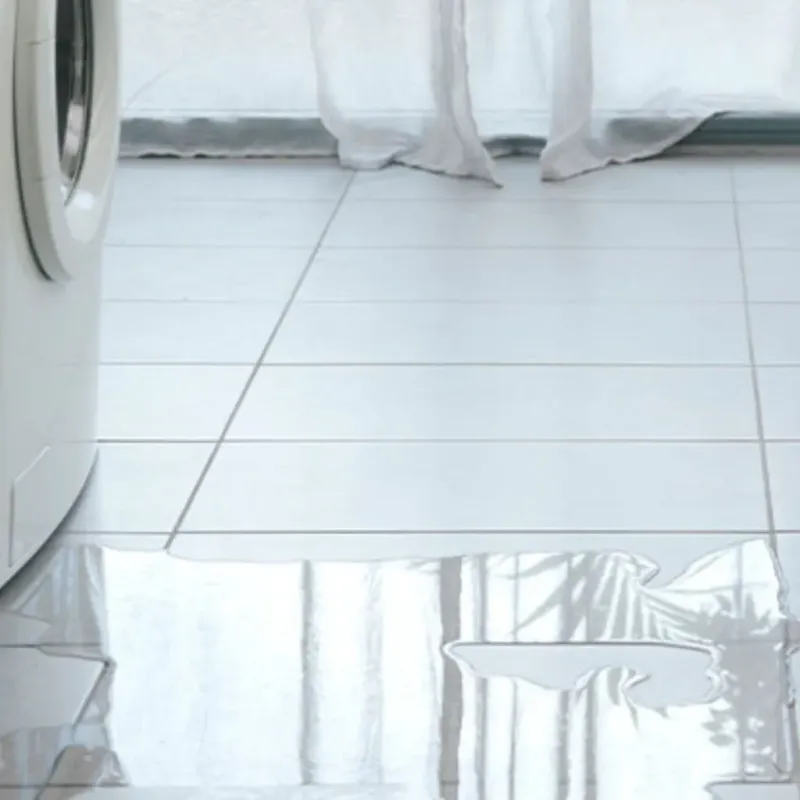 Appliance Leak Cleanup in Charleston, AR