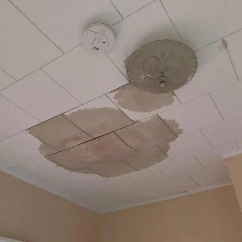 Ceiling Water Damage Repair in Charleston, AR