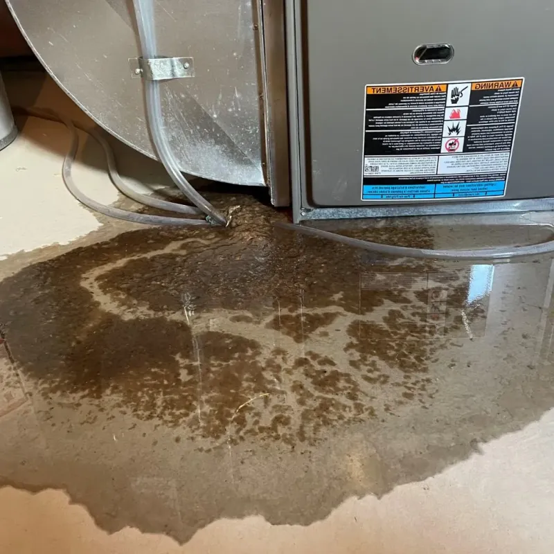 Pipe Burst and Leak Restoration in Charleston, AR