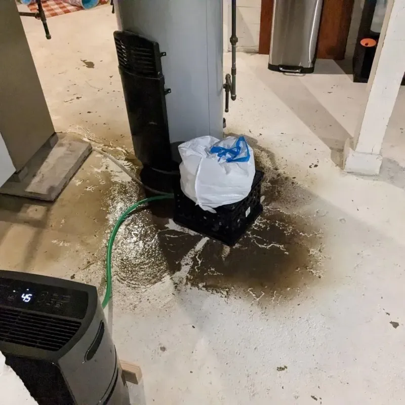 Sewage Backup Cleanup Service in Charleston, AR